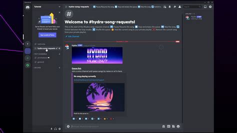 hydra discord|hydra discord bot dashboard.